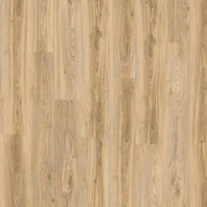 22220 BLACKJACK OAK