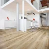 22229 BLACKJACK OAK