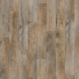24958 COUNTRY OAK